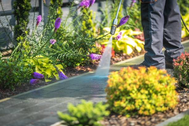 Best Building Exterior Pressure Washing in Independence, KY